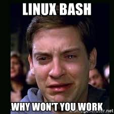 Linux bash why won't you work - crying peter parker | Meme Generator